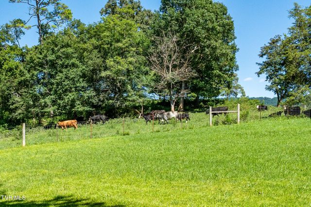 186 Oliver Edwards Road, Jonesborough, TN 37659