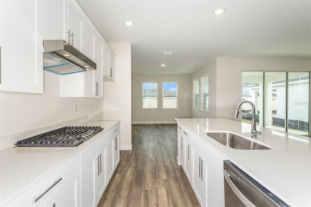 33580 HAMMOCK BEACH WAY, Dade City, FL 33525