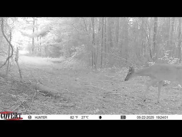 17584 Fm 1252, Winona, TX 75792