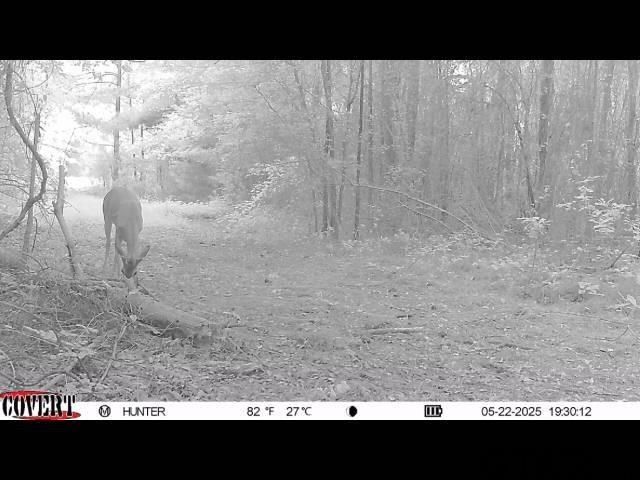 17584 Fm 1252, Winona, TX 75792
