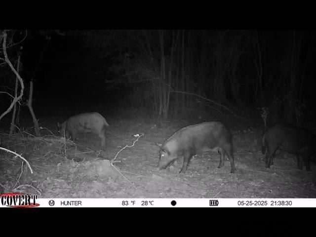 17584 Fm 1252, Winona, TX 75792