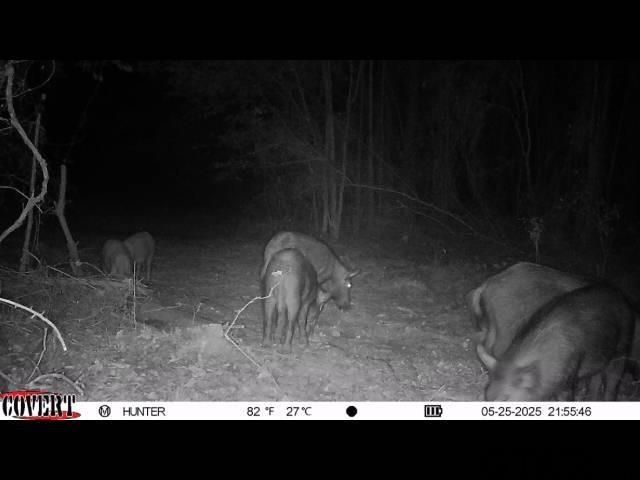 17584 Fm 1252, Winona, TX 75792