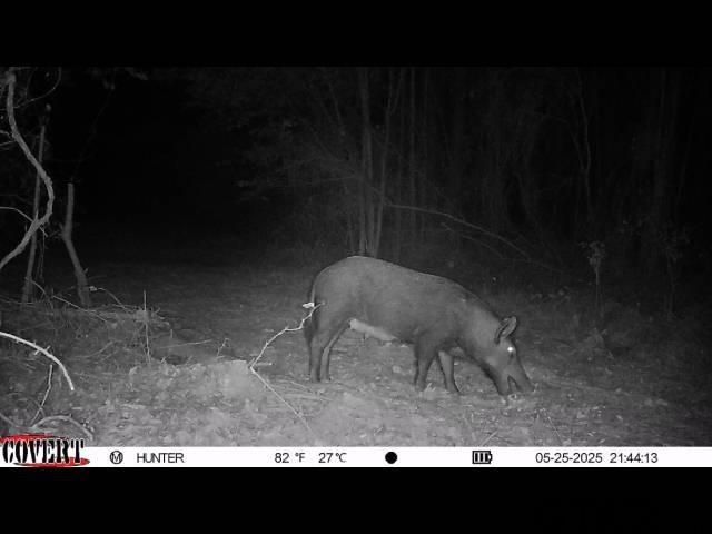 17584 Fm 1252, Winona, TX 75792
