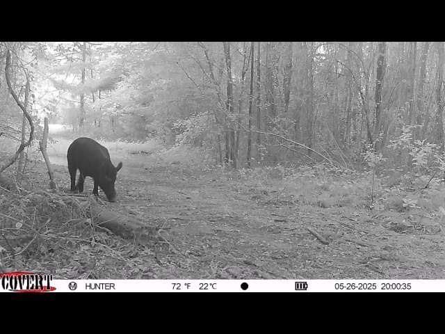 17584 Fm 1252, Winona, TX 75792