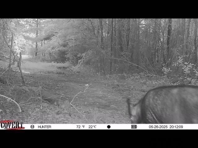 17584 Fm 1252, Winona, TX 75792