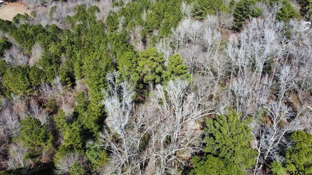 17584 Fm 1252, Winona, TX 75792
