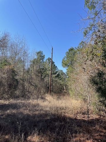 17584 Fm 1252, Winona, TX 75792