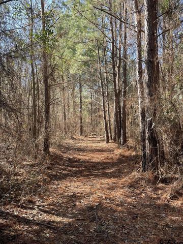 17584 Fm 1252, Winona, TX 75792