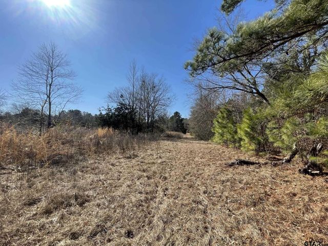 17584 Fm 1252, Winona, TX 75792