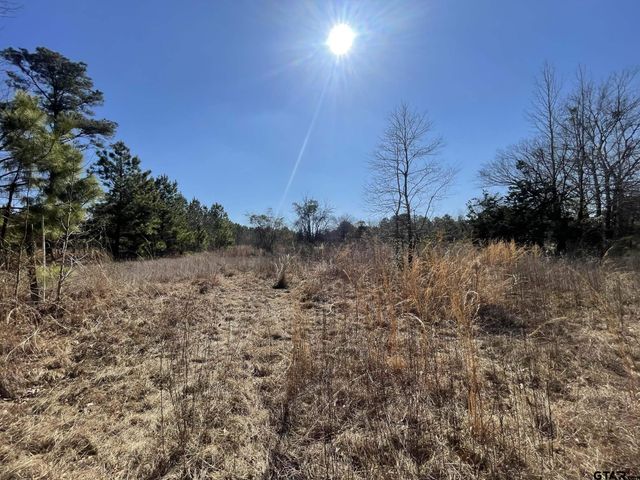 17584 Fm 1252, Winona, TX 75792