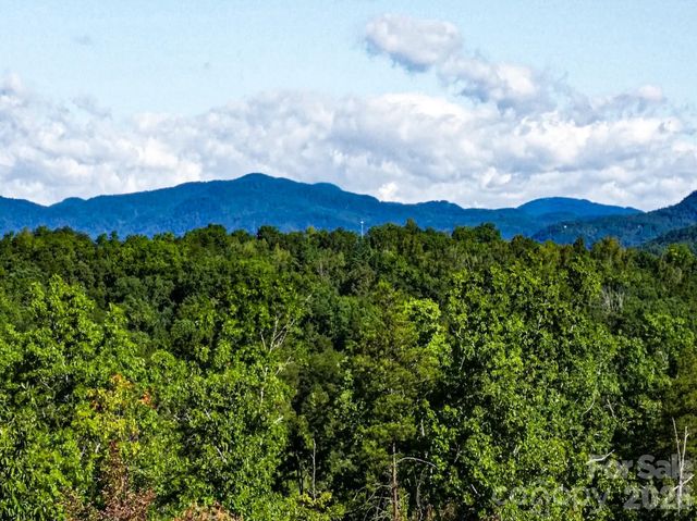 111 Arabesque Way, Lake Lure, NC 28746