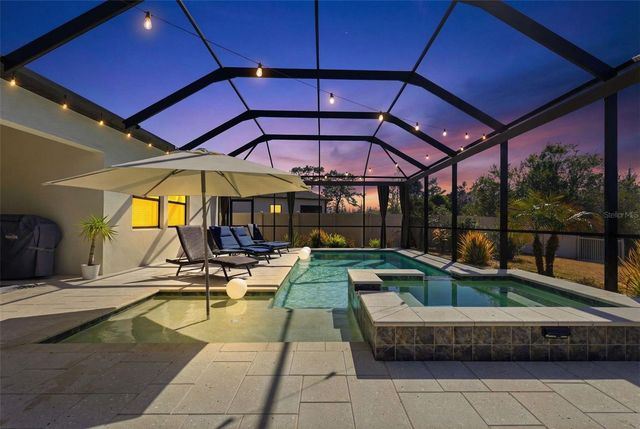 21251 SNOWY ORCHID TERRACE, Land O Lakes, FL 34637