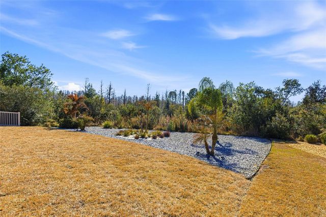 21251 SNOWY ORCHID TERRACE, Land O Lakes, FL 34637