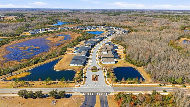 21251 SNOWY ORCHID TERRACE, Land O Lakes, FL 34637