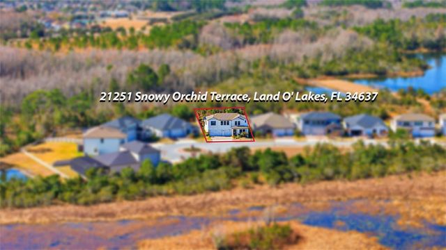 21251 SNOWY ORCHID TERRACE, Land O Lakes, FL 34637