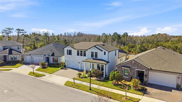 21251 SNOWY ORCHID TERRACE, Land O Lakes, FL 34637