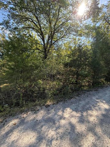 Lot 1 Daisy Lane, Lampe, MO 65681