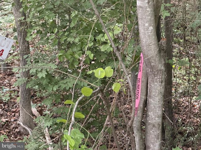 -LOT 14 OVERTON DR, Bumpass, VA 23024