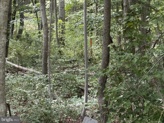-LOT 14 OVERTON DR, Bumpass, VA 23024