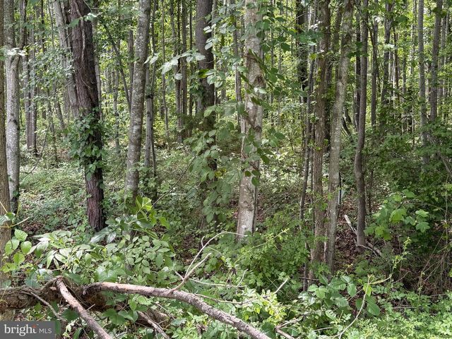-LOT 14 OVERTON DR, Bumpass, VA 23024