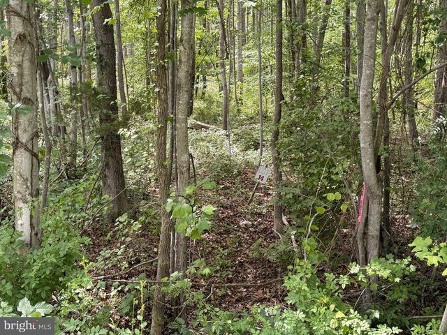 -LOT 14 OVERTON DR, Bumpass, VA 23024