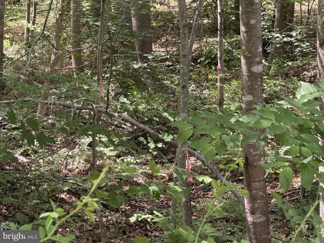 -LOT 14 OVERTON DR, Bumpass, VA 23024