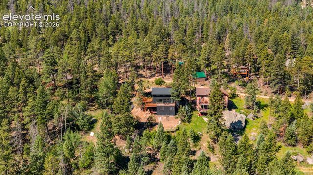 6645 Grant Street, Green Mountain Falls, CO 80819