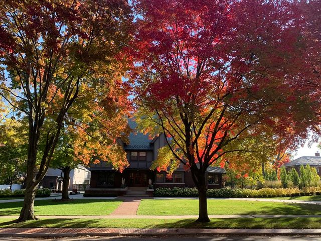 420 N Euclid Avenue, Oak Park, IL 60302