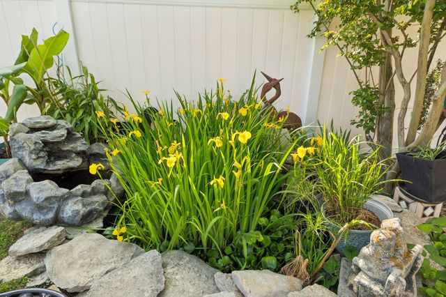 604 College Ave, E, Carthage, TN 37030