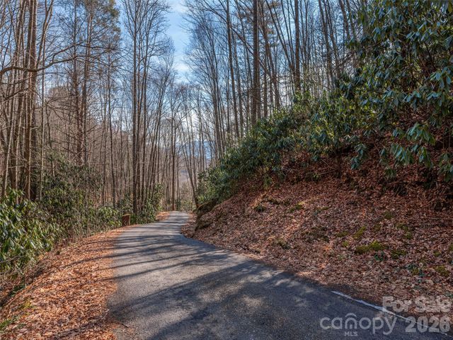 0 Coyote Hollow Road, Waynesville, NC 28785