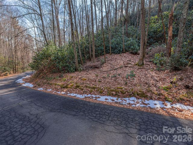 0 Coyote Hollow Road, Waynesville, NC 28785