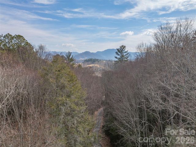 0 Coyote Hollow Road, Waynesville, NC 28785