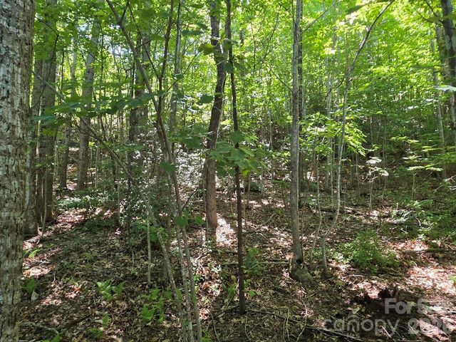 52 Big View Drive, Marion, NC 28752