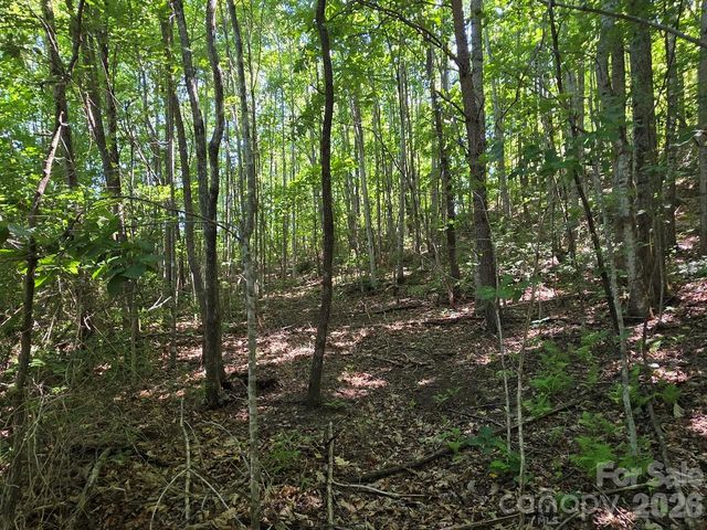 52 Big View Drive, Marion, NC 28752