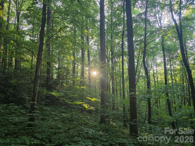 52 Big View Drive, Marion, NC 28752