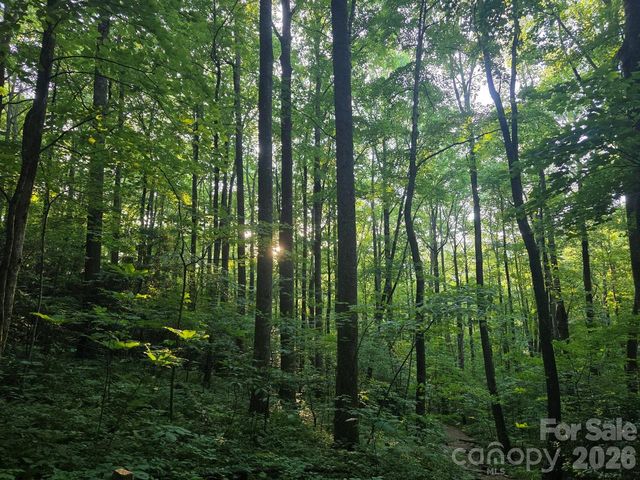 52 Big View Drive, Marion, NC 28752