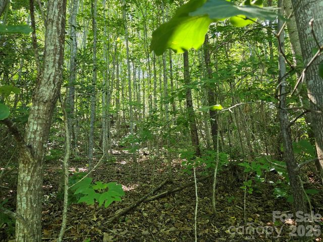 52 Big View Drive, Marion, NC 28752