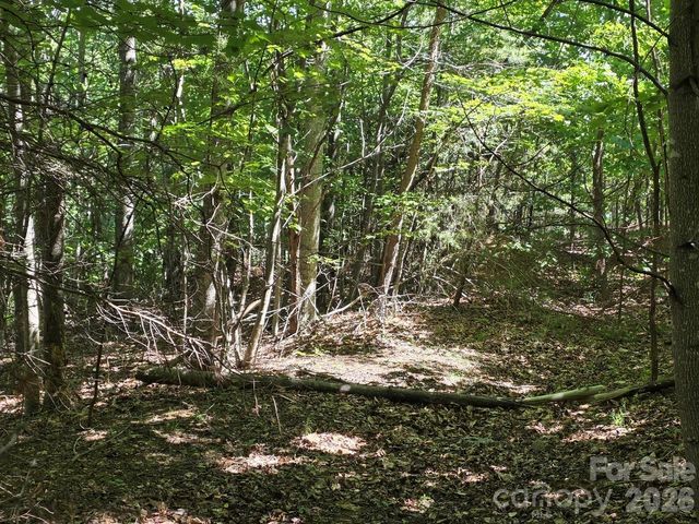 52 Big View Drive, Marion, NC 28752