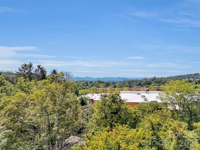 17 Elkmont Terrace, Asheville, NC 28804