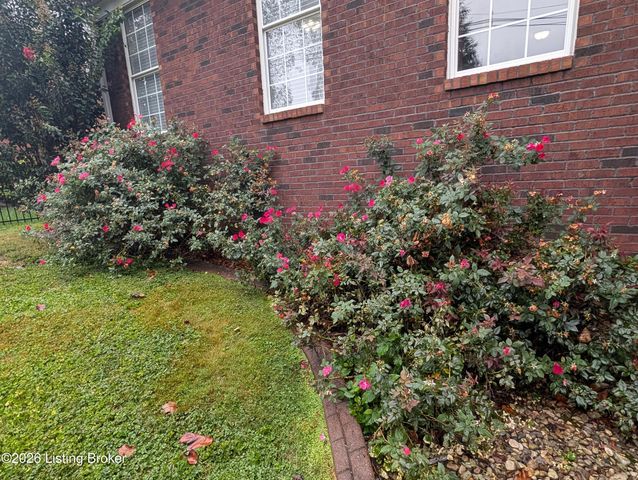 6204 Cottage Ridge Pl, Louisville, KY 40214