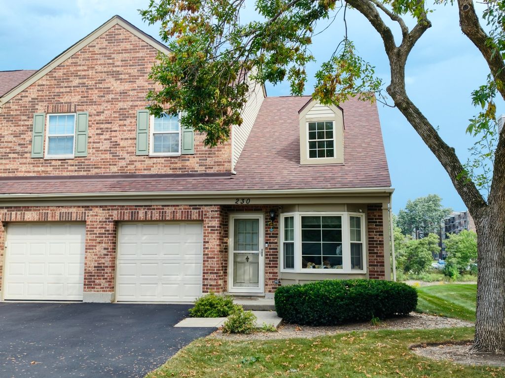 230 Carlisle Avenue, Westmont, IL 60559 — exterior