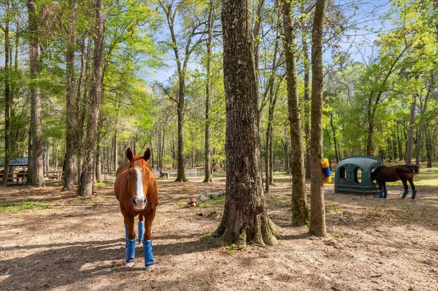 0 Mill Creek Road, Magnolia, TX 77354