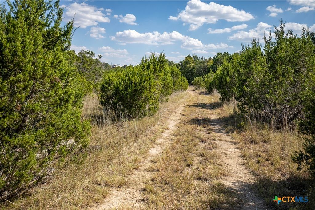 Image 13 of property listing at 0 Wilson Branch Road, Killeen, TX 76542