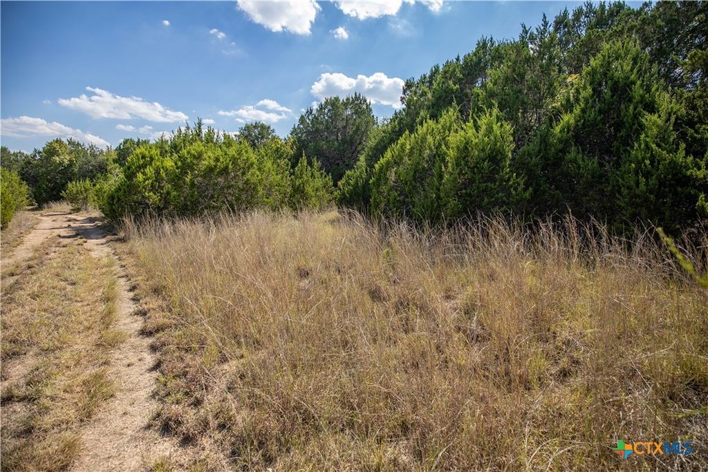 Image 14 of property listing at 0 Wilson Branch Road, Killeen, TX 76542