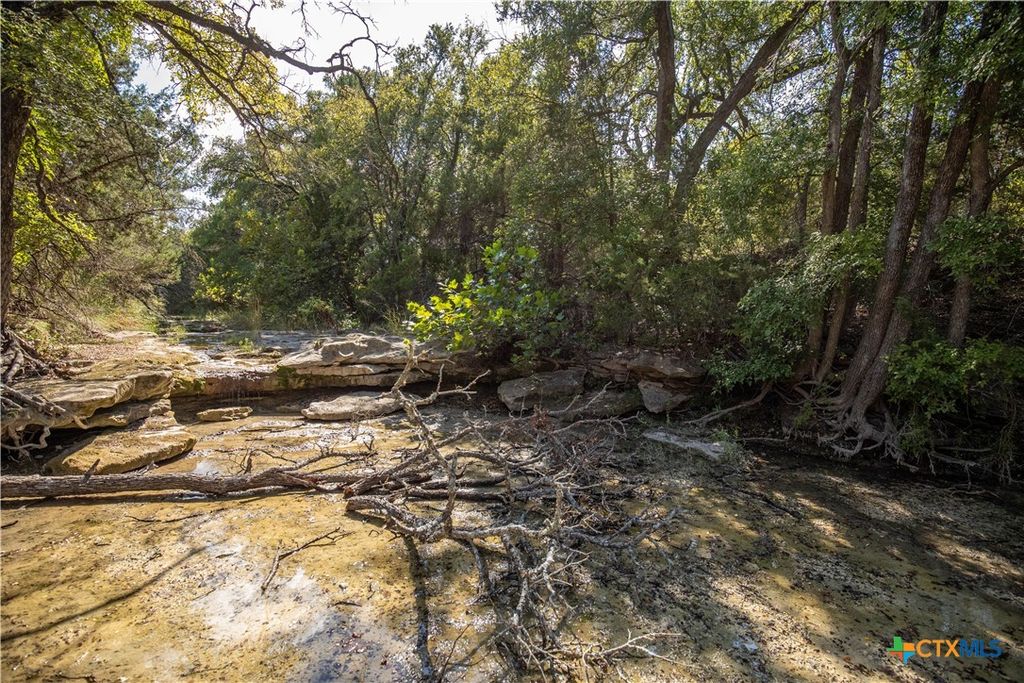 Image 21 of property listing at 0 Wilson Branch Road, Killeen, TX 76542
