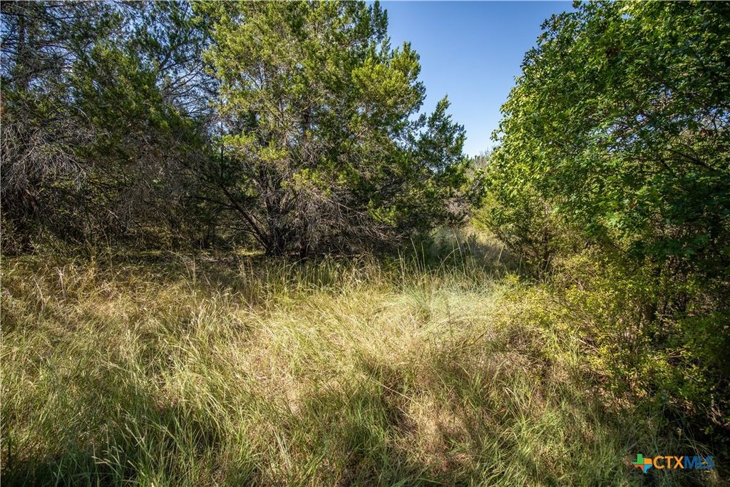 Image 25 of property listing at 0 Wilson Branch Road, Killeen, TX 76542