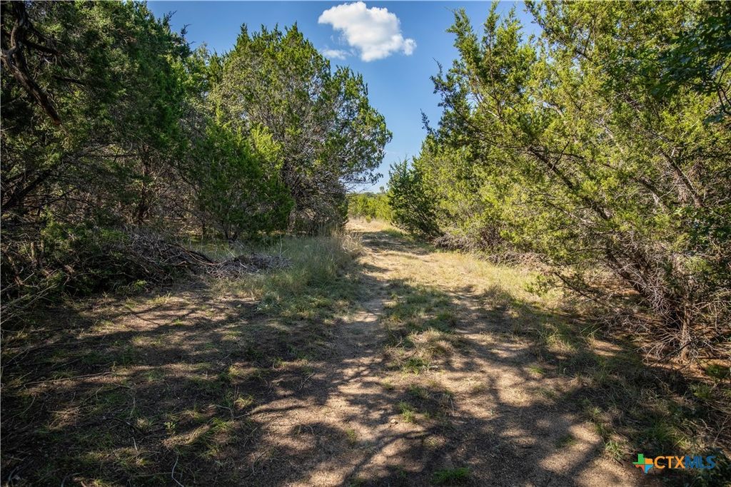 Image 26 of property listing at 0 Wilson Branch Road, Killeen, TX 76542