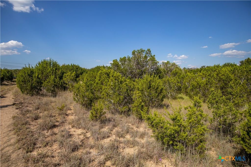 Image 28 of property listing at 0 Wilson Branch Road, Killeen, TX 76542