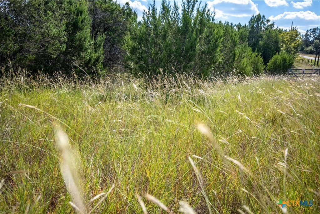 Image 30 of property listing at 0 Wilson Branch Road, Killeen, TX 76542