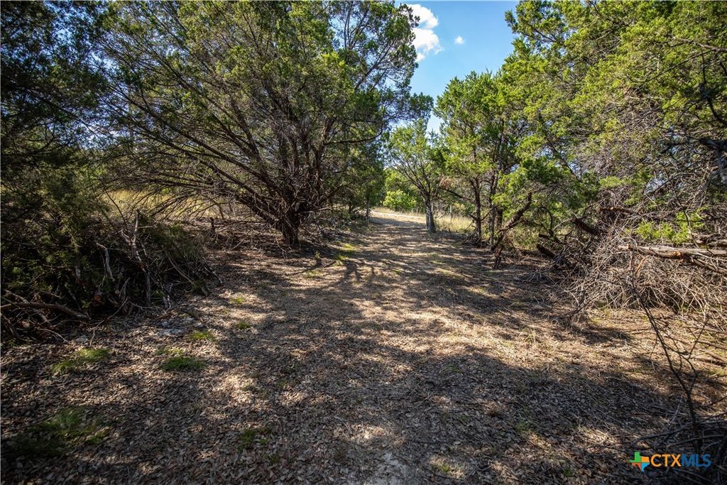 Image 31 of property listing at 0 Wilson Branch Road, Killeen, TX 76542